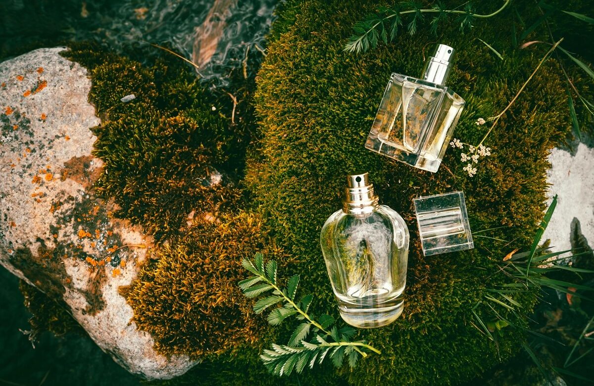 Perfumy szyprowe – poznaj jedne z najbardziej zmysłowych kompozycji