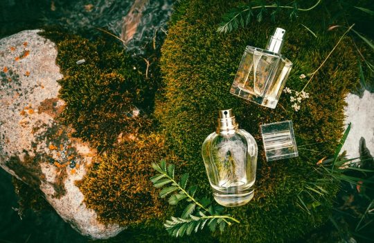 Perfumy szyprowe – poznaj jedne z najbardziej zmysłowych kompozycji