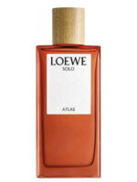 Loewe Solo Atlas edp 10 ml próbka perfum