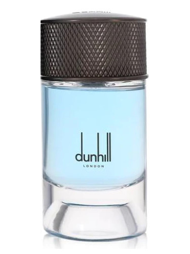 Dunhill Nordic Fougere edp 10 ml próbka perfum