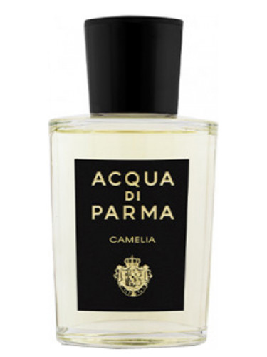 Acqua di Parma Camelia edp 20 ml próbka perfum