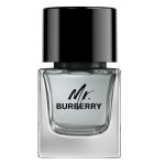 Mr. Burberry woda toaletowa 50ml