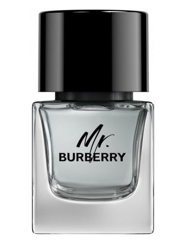 Mr. Burberry woda toaletowa 50ml