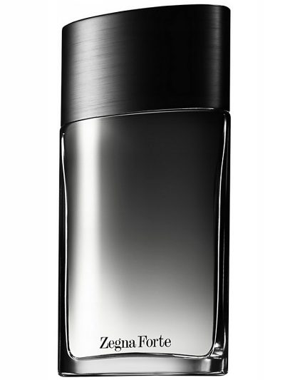 Ermenegildo Zegna Zegna Forte woda toaletowa 100ml Tester