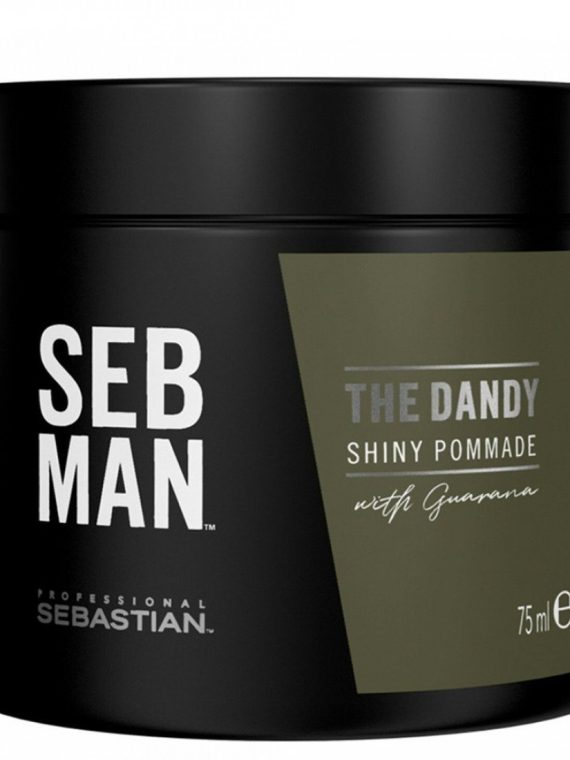 Sebastian Professional The Dandy Light Hold Pomade lekko utrwalająca pomada do włosów 75ml