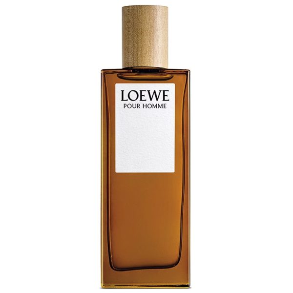 Loewe Pour Homme woda toaletowa 100ml