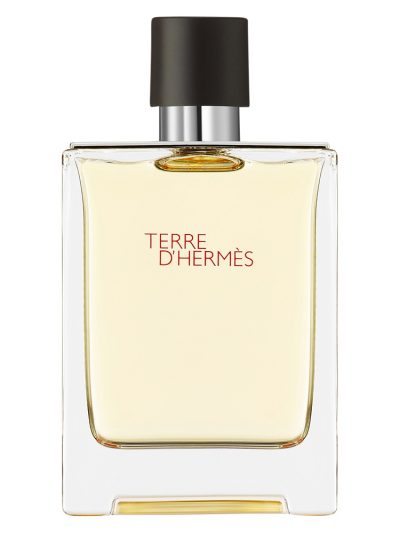 Terre D'Hermes woda toaletowa 100ml