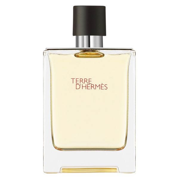 Terre D'Hermes woda toaletowa 100ml