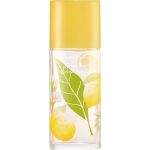 Elizabeth Arden Green Tea Citron Freesia woda toaletowa 100ml