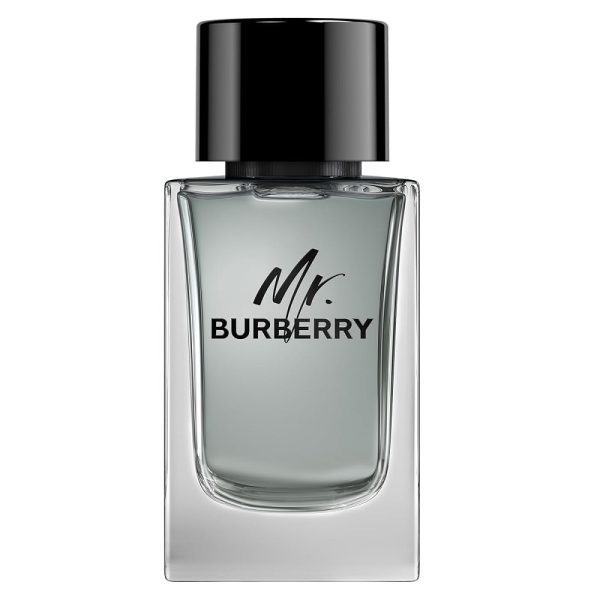 Mr. Burberry woda toaletowa 150ml