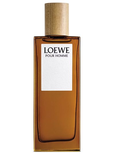 Loewe Pour Homme woda toaletowa spray 50ml