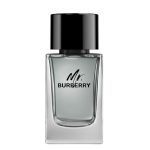 Mr. Burberry woda toaletowa 100ml