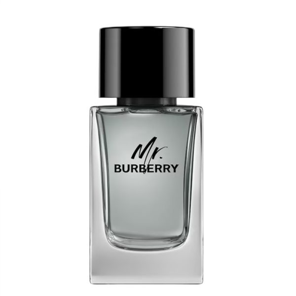 Mr. Burberry woda toaletowa 100ml