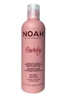 Noah Curly Anti Frizz Conditioner wygładzająca odżywka do włosów kręconych 250ml