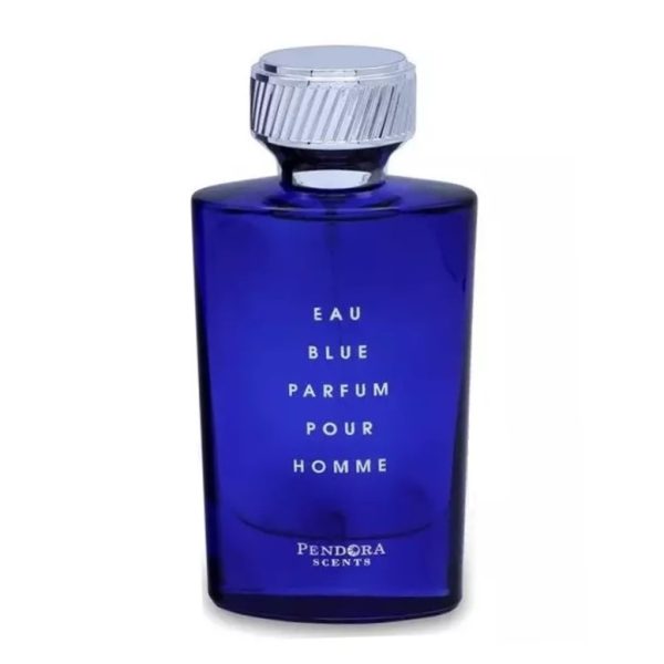 Pendora Scents Eau Blue Parfum Pour Homme woda perfumowana 100ml