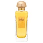 Hermes Caleche Soie woda perfumowana 100ml