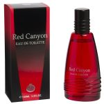 Real Time Red Canyon woda toaletowa 100ml