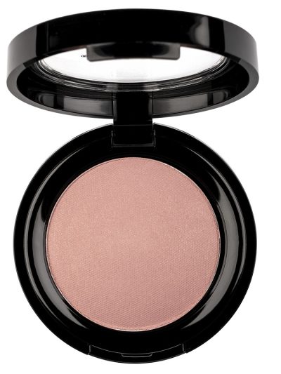 Pierre Rene Professional Rouge Powder róż do policzków 09 6g