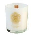 Tiziana Terenzi Spicy Snow świeca zapachowa 170g
