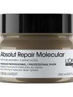 L'Oreal Professionnel Serie Expert Absolut Repair Molecular maska wypełniająca strukturę molekularną włosów 250ml