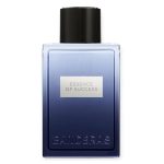 Antonio Banderas Essence of Success woda toaletowa 100ml