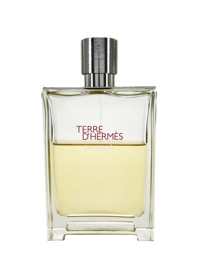 Hermes Terre D'Hermes Eau Givree edp 100 ml