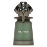 French Avenue Thunder edp 100 ml