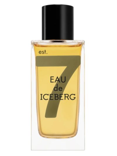 Eau de Iceberg Amber Pour Homme woda toaletowa spray 100ml