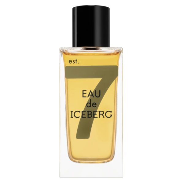 Eau de Iceberg Amber Pour Homme woda toaletowa spray 100ml
