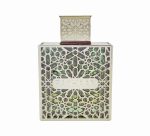 Rayhaan Terra edp 30 ml