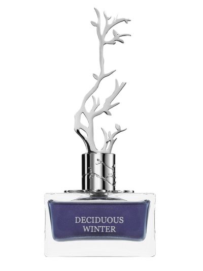 Aurora Scents Deciduous Winter woda perfumowana spray 100ml