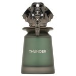French Avenue Thunder woda perfumowana spray 100ml