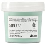 Davines Essential Haircare MELU Conditioner odżywka do włosów kruchych i łamliwych 250ml