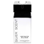 Jacques Bogart Silver Scent Infinite Silver woda toaletowa spray 100ml